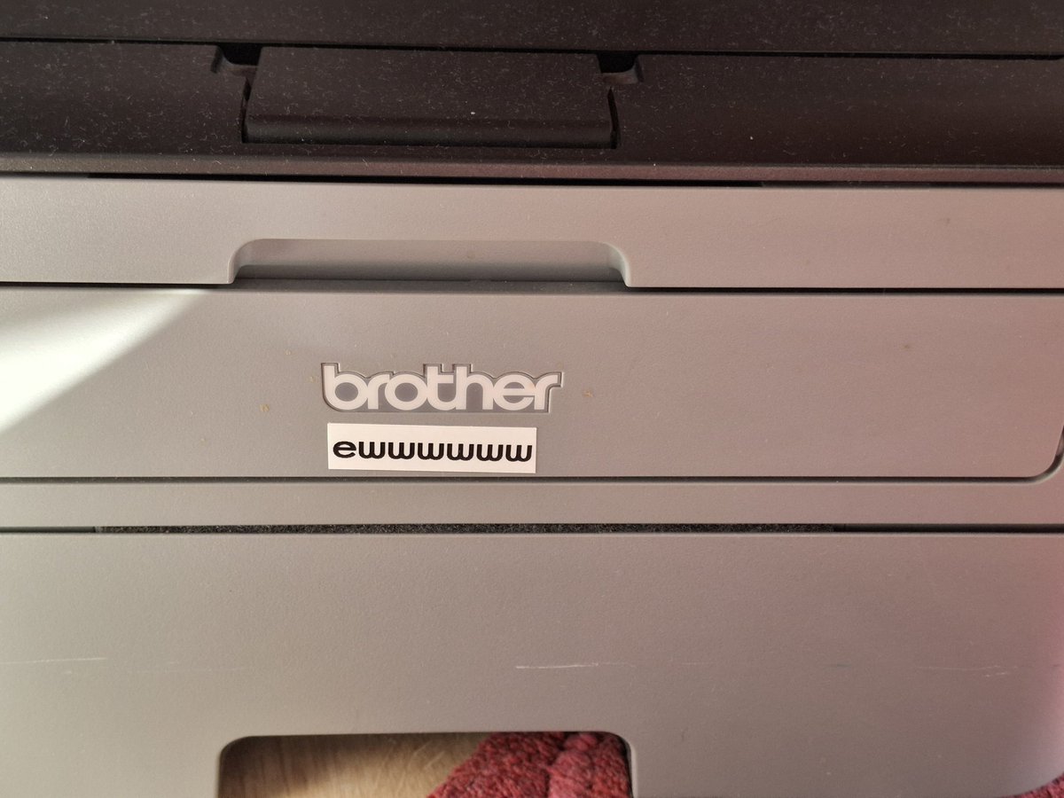 Frau Brudi 🇩🇪 tweet media