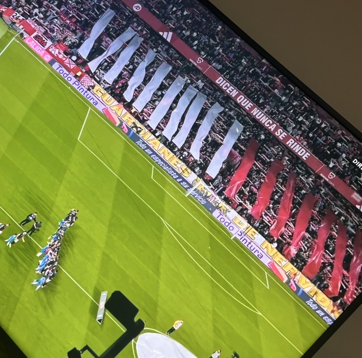 JD Fernández tweet media