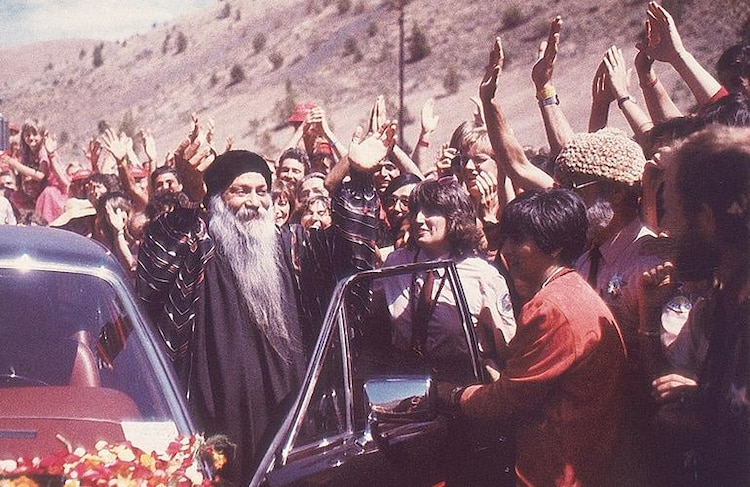 Archaeo - Histories tweet media