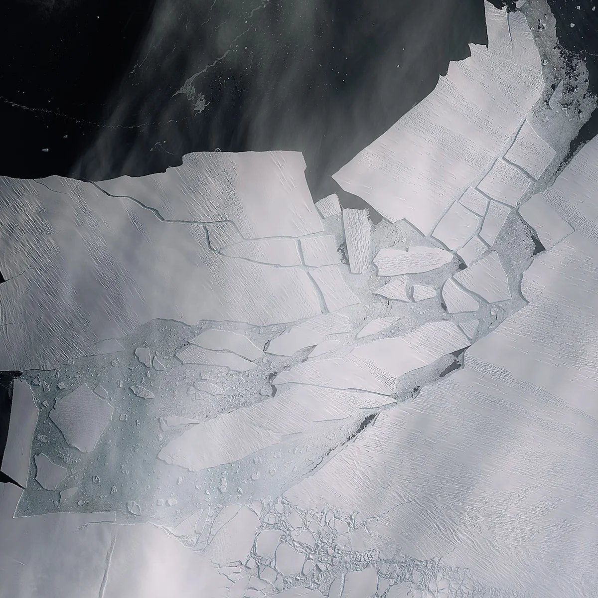 Night Sky Today tweet media