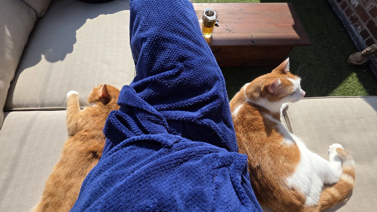 Dokajunk 📷🗑 tweet media