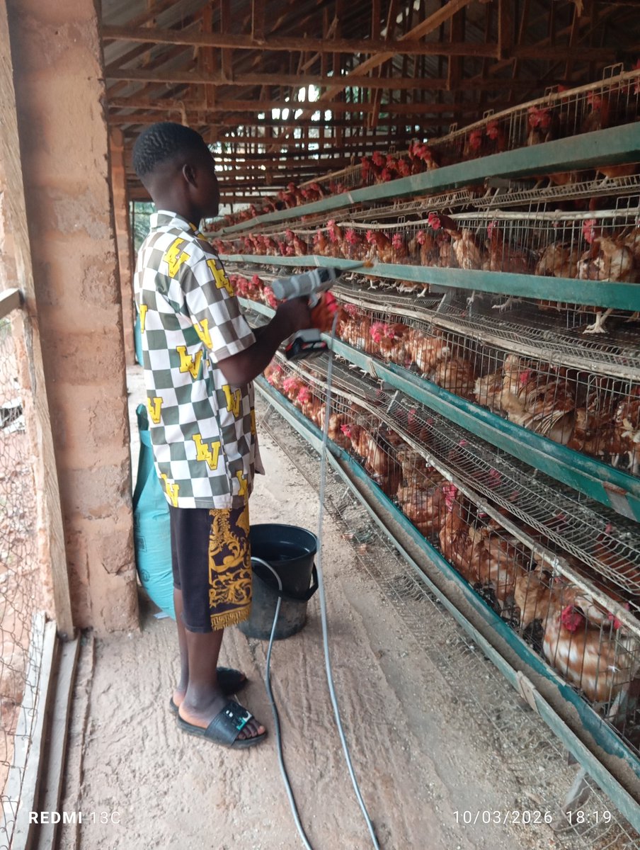 Ter-Nenge tweet media