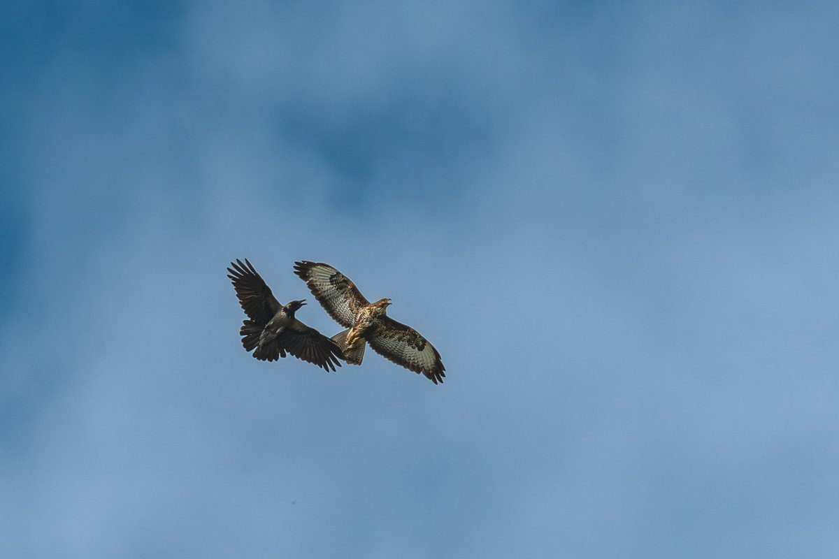 Juha Pekka Salo tweet media