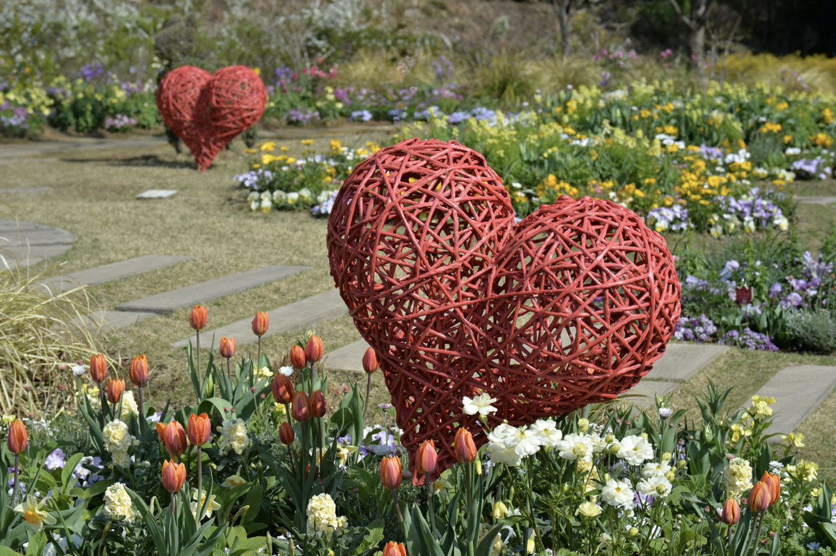 カズさん（じいさん tweet media