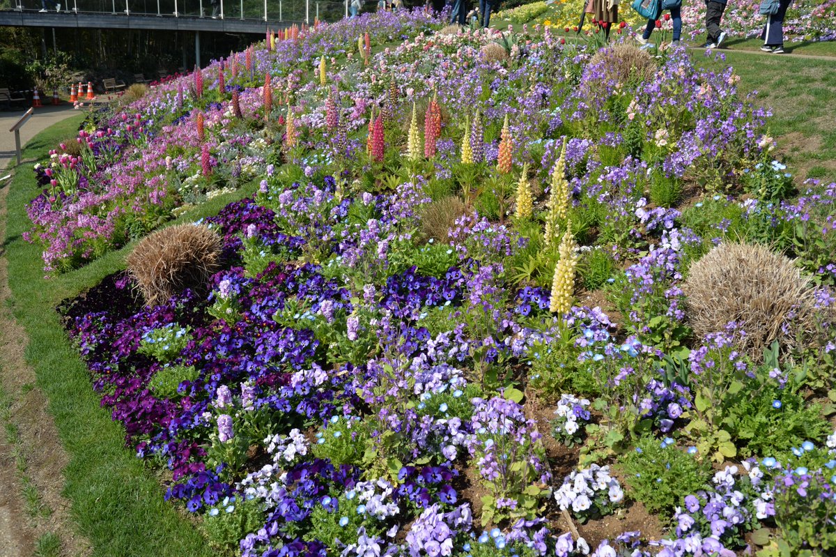 カズさん（じいさん tweet media