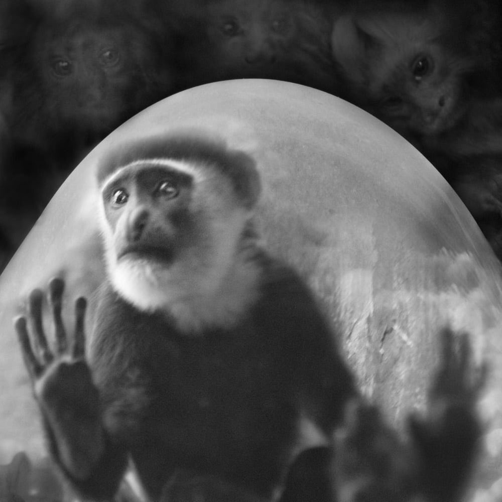 Oğuz Pancar tweet media