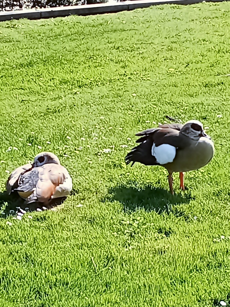 ɪ ᴀᴍ ʏᴏᴜ 🌞 tweet media