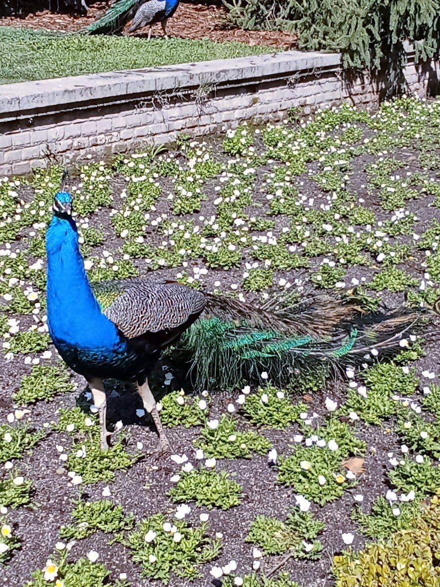 ɪ ᴀᴍ ʏᴏᴜ 🌞 tweet media