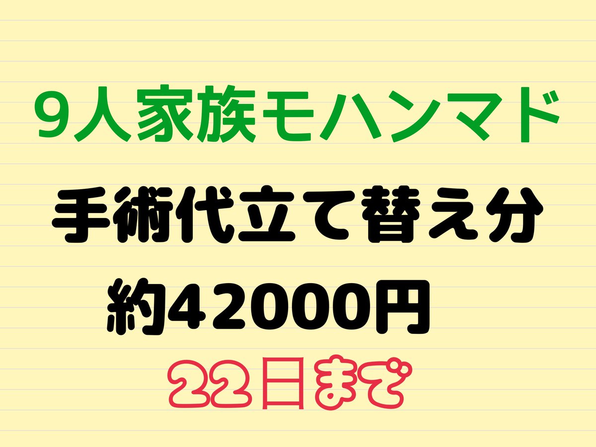 maa /ᐠ ̞ ‸ ̞ᐟ\ﾉ Ⅲ🍉🐈‍⬛🐱 tweet media