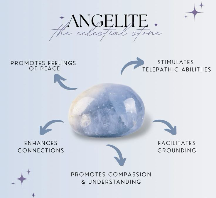 kat 🪽 tweet media