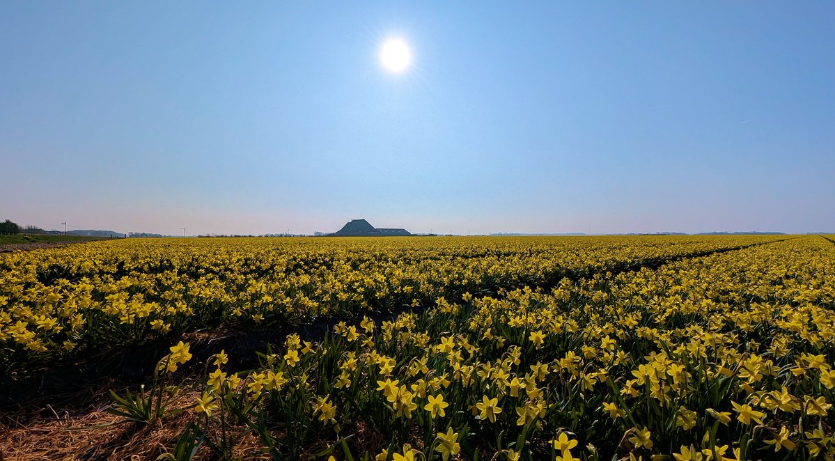 Ed v. Pelt tweet media