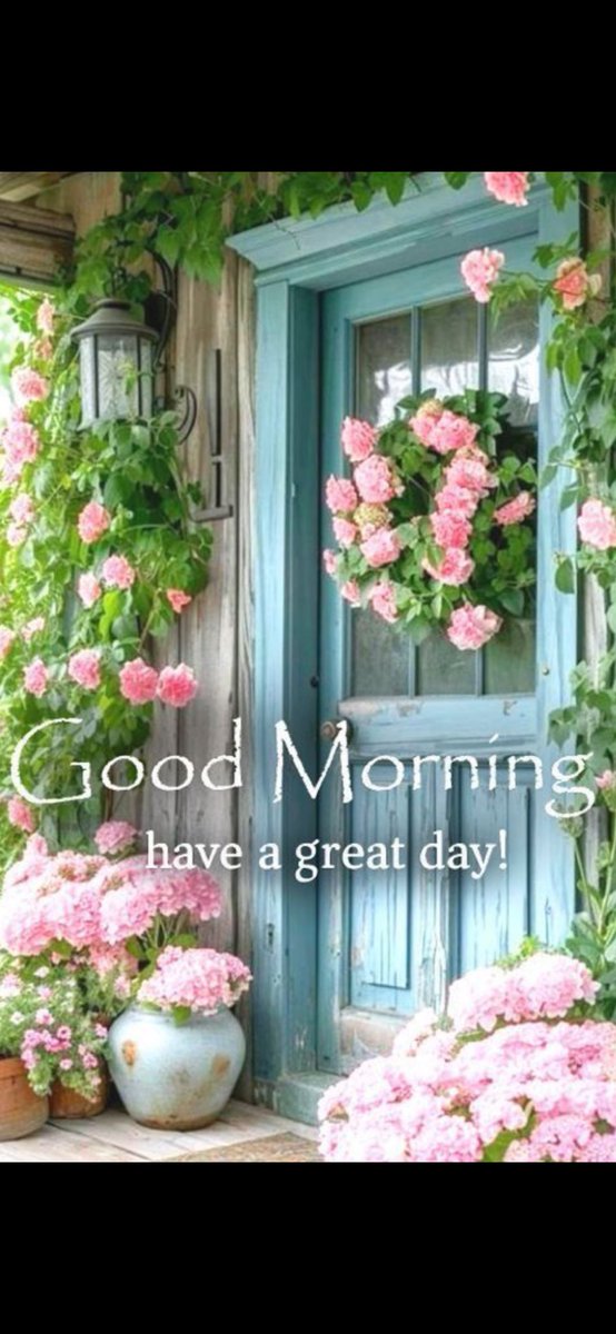 Dancho Mirchev tweet media