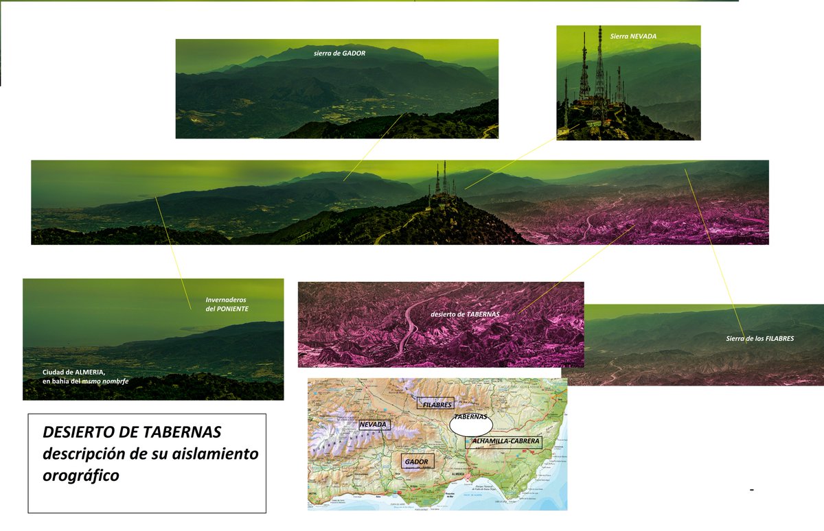 JOSE M.SERNA GARCIA tweet media