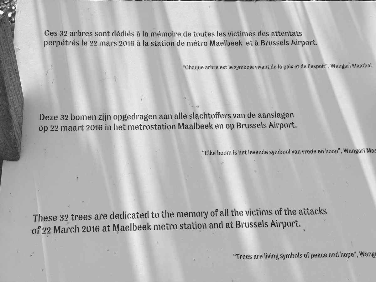 Bulgaria in the EU tweet media