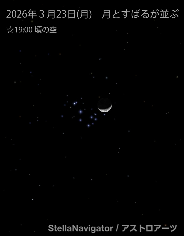 星の観察館「満天星」 tweet media