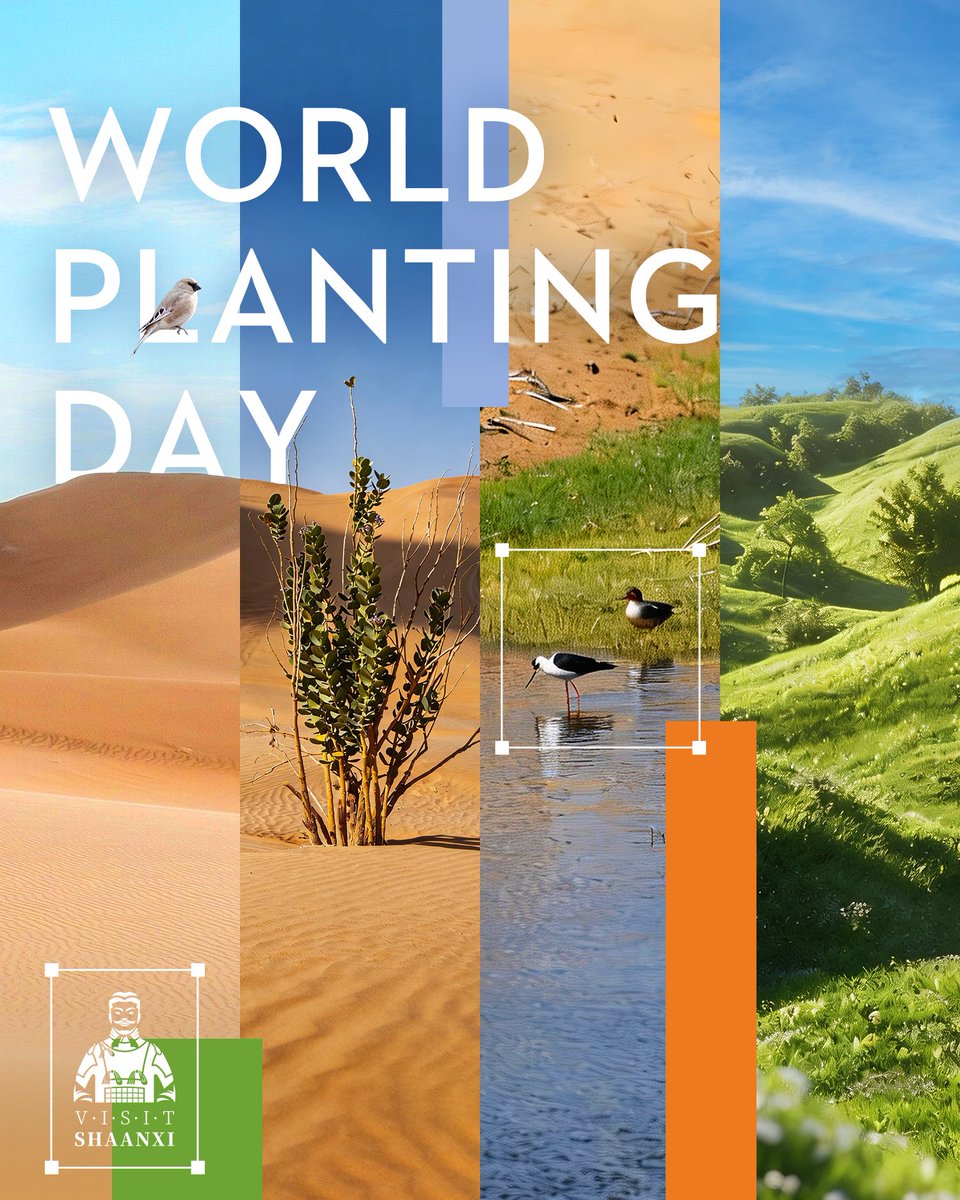 Plant the plant
Save the life. 
#tadc
#ChezaCheza
#PSLNEWERA