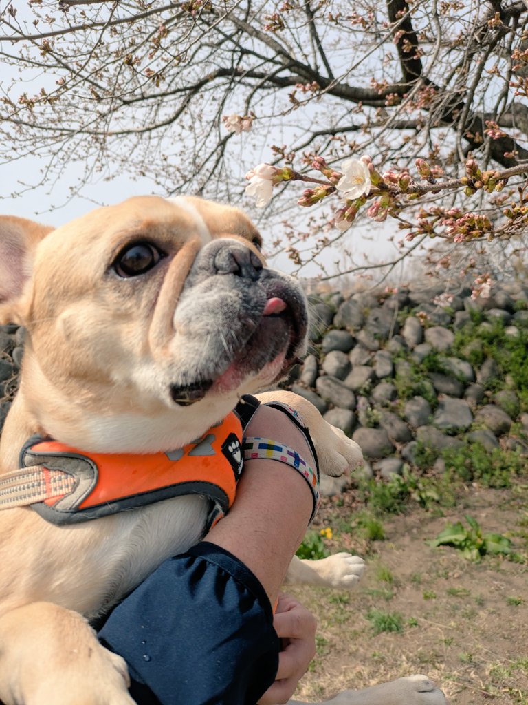 まてぃ | Webサイト制作 tweet media