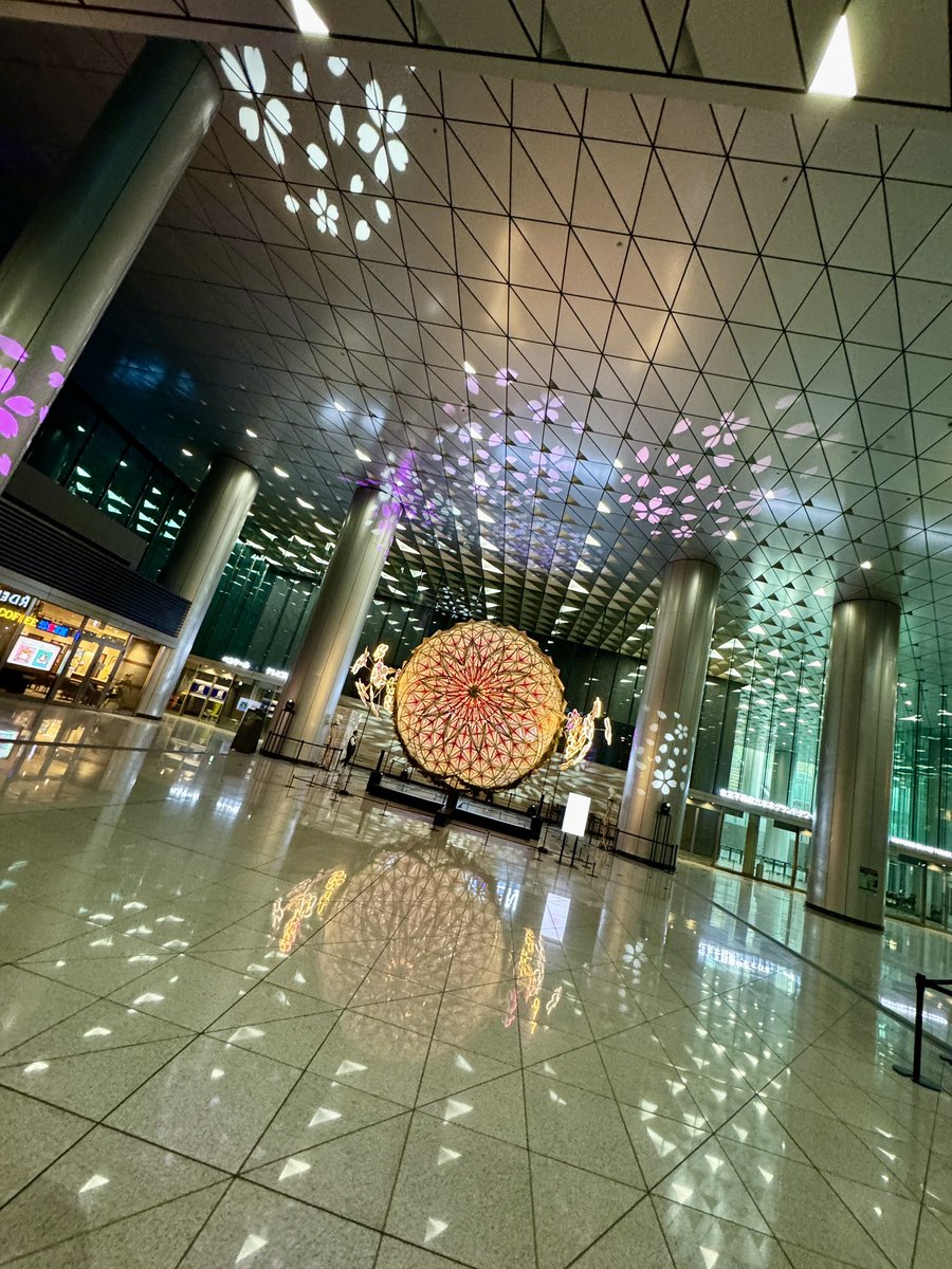 Shimoda Ryusei / 下田 龍世 tweet media