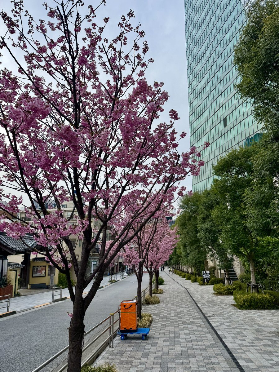 Shimoda Ryusei / 下田 龍世 tweet media