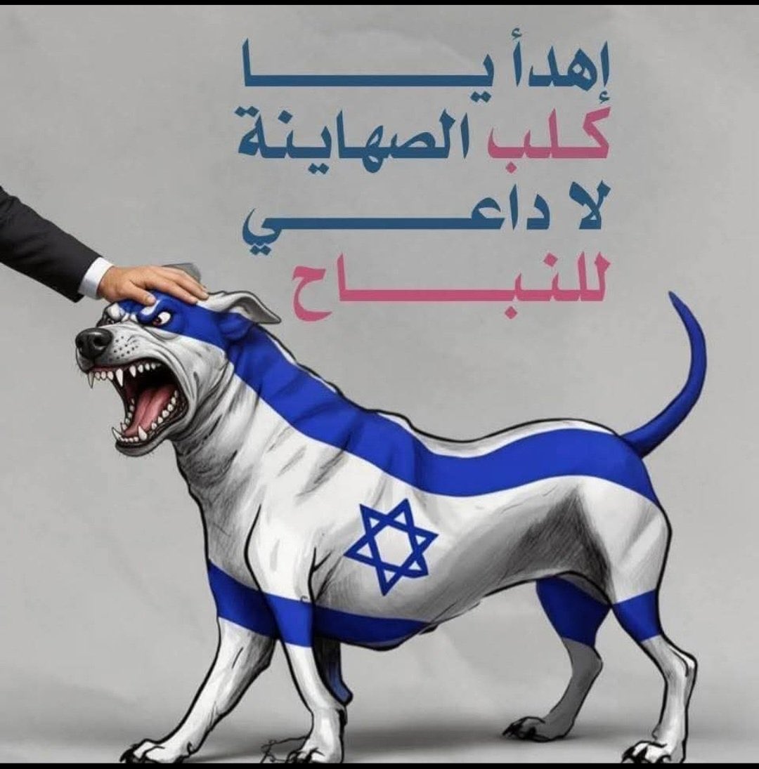 almahdi1 tweet media