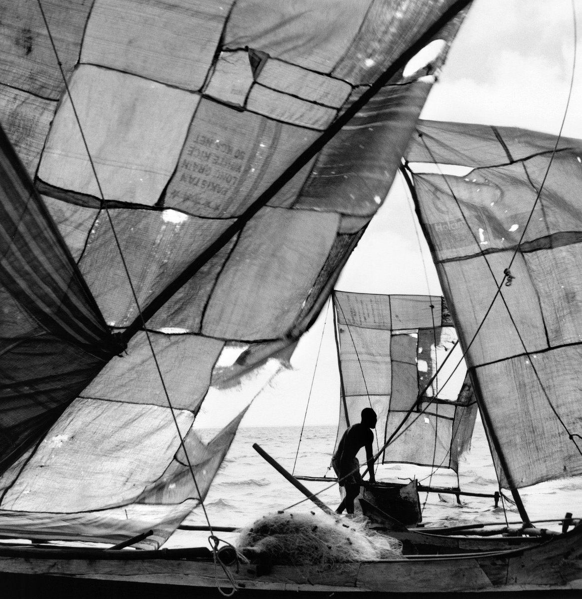 L'uomo degli abissi tweet media