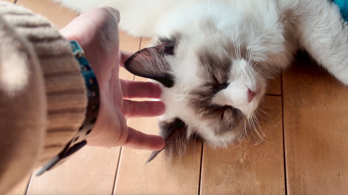 さあ次はどこへ行こうか tweet media