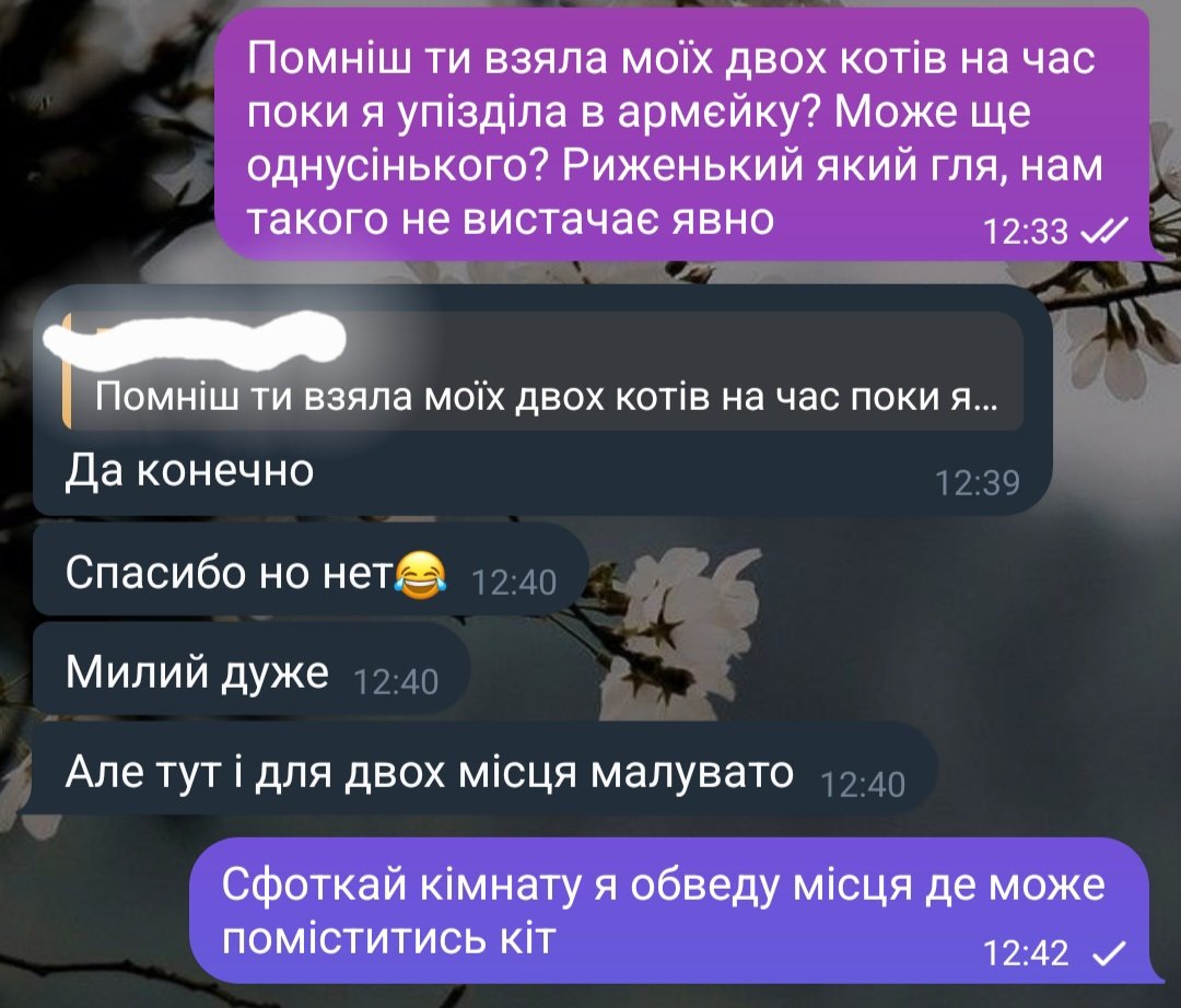 Хранителька чуйкі tweet media