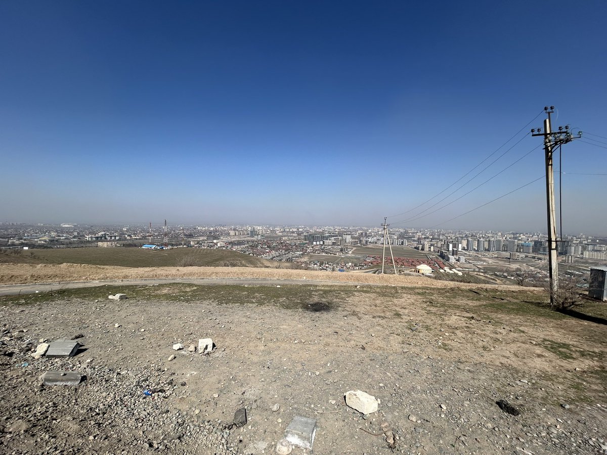 Биполярный панда tweet media