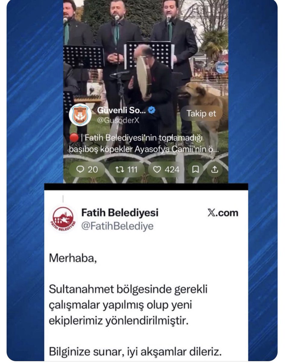 Semt ne tarafa yanlasam diye düşünen binalarla doluyken <a href="/FatihBelediye/">Fatih Belediyesi</a> bu güruhu memnun etmeye çalışıyor! Deprem yokken kendiliğinden bina çöküyor <a href="/FatihBelediye/">Fatih Belediyesi</a> uysal köpekleri toplamanın  derdine düşmüş!!
