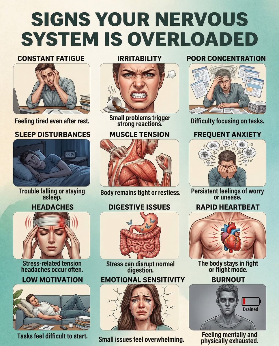 The Narcissist Box tweet media