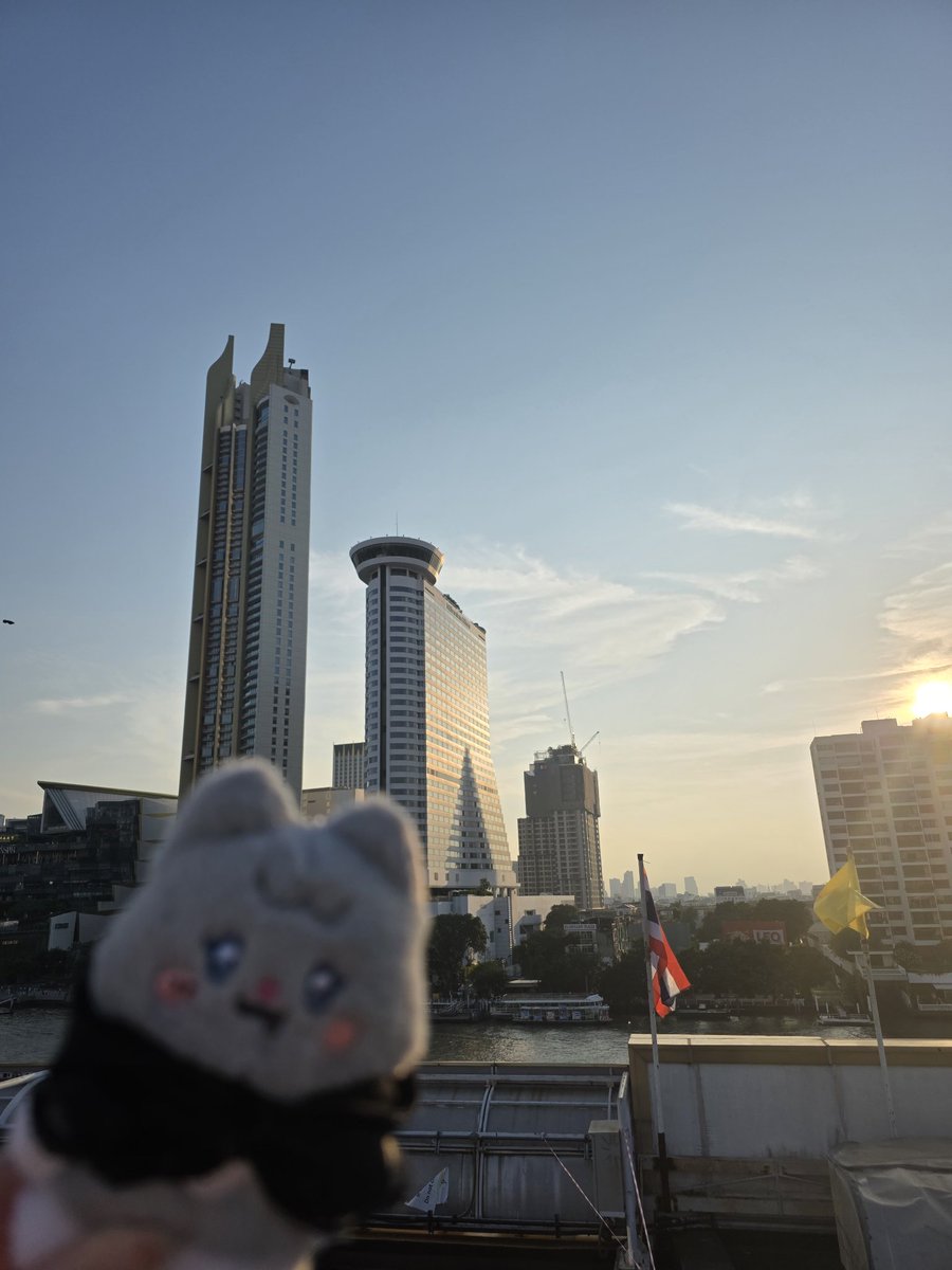 shubear 🧸 tweet media