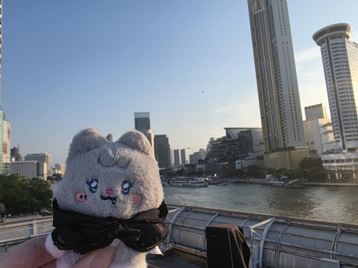 shubear 🧸 tweet media