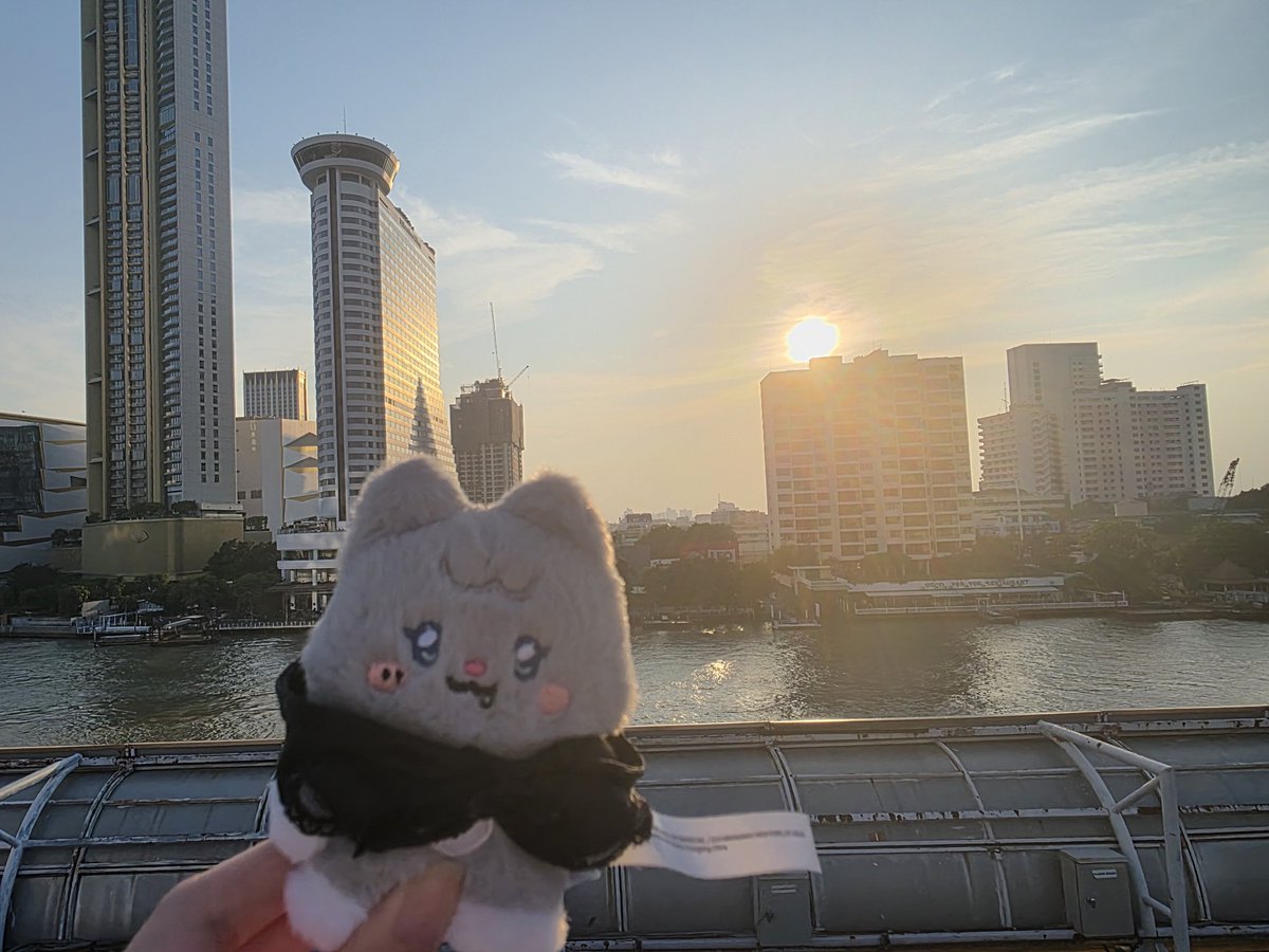 shubear 🧸 tweet media