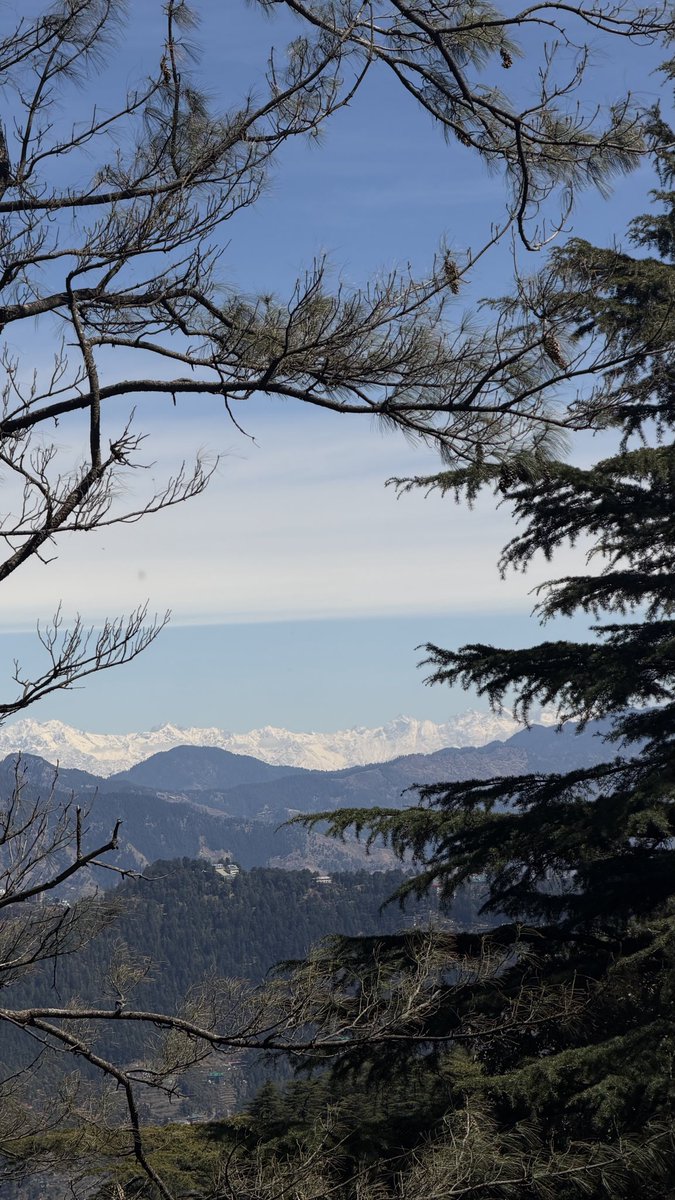 enjae 🌙 tweet media