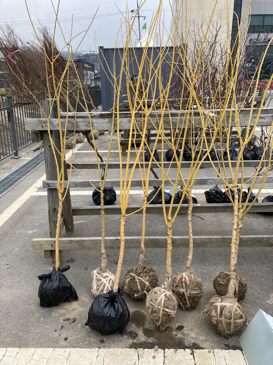 오사삼이일 tweet media