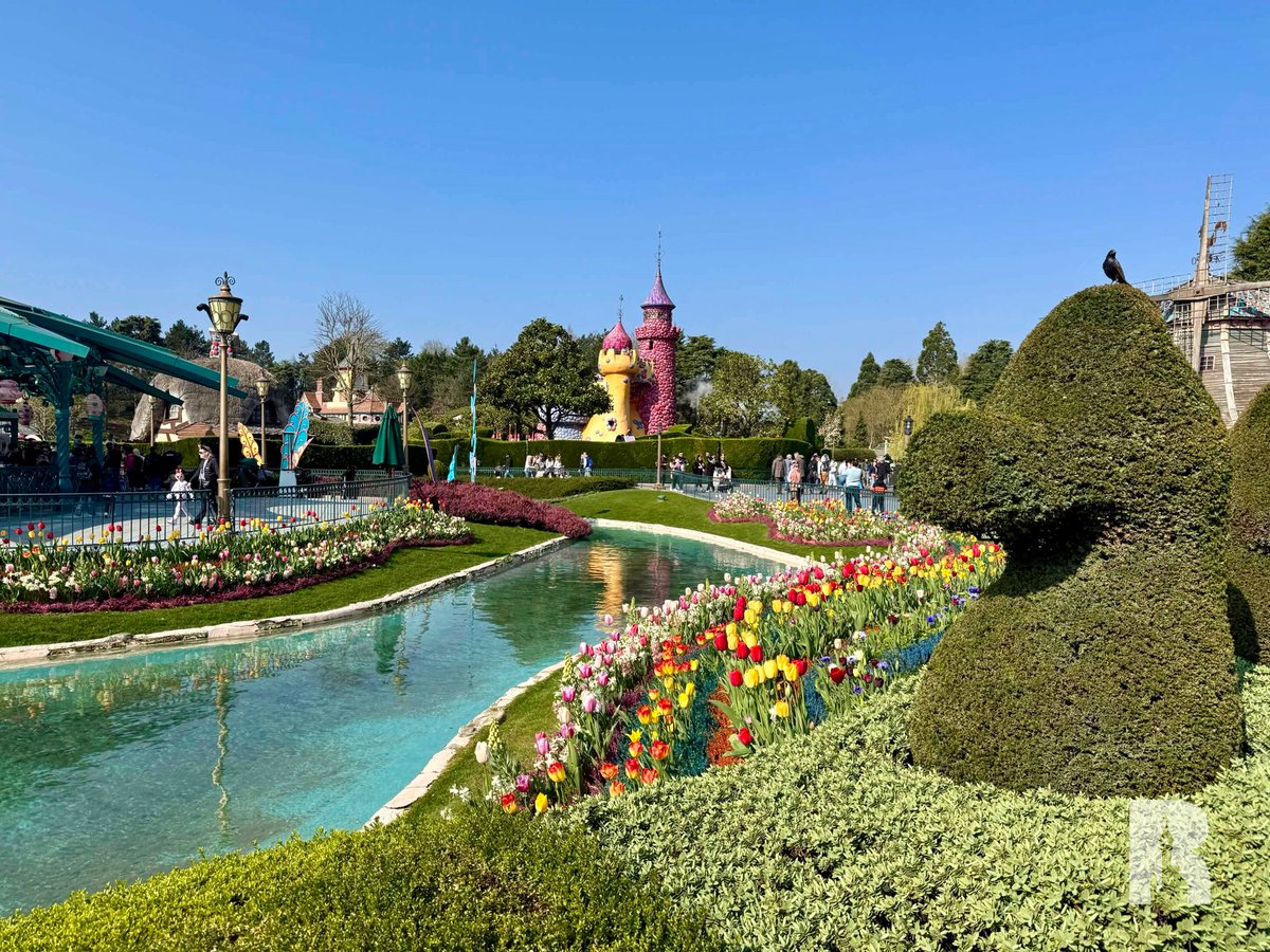 DLP Report tweet media