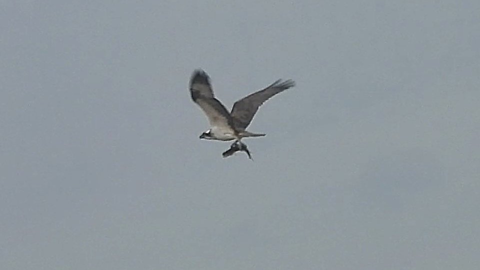 Andy Paton @andypaton.bsky.social tweet media