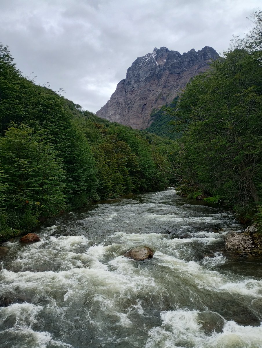 Damian Pablo Ballester tweet media