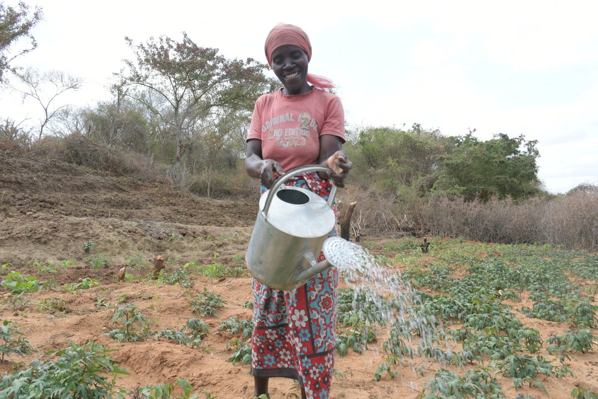 Just a Drop tweet media