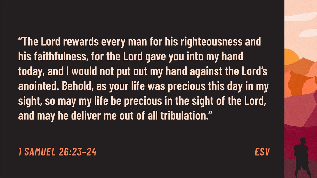 Steve Campbell tweet media