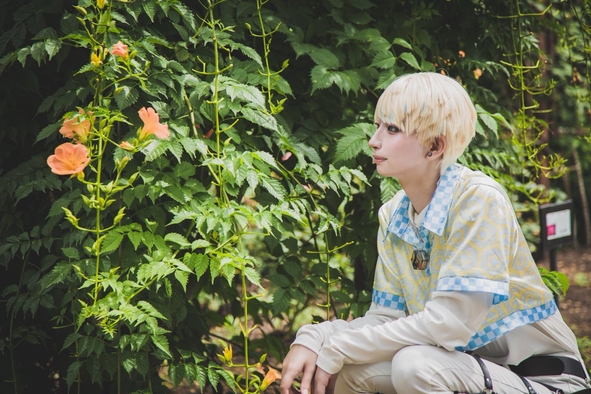 8時半に起きる tweet media