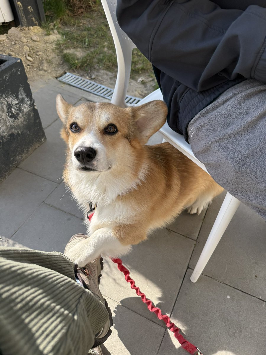 Кадзілла 🦖 tweet media