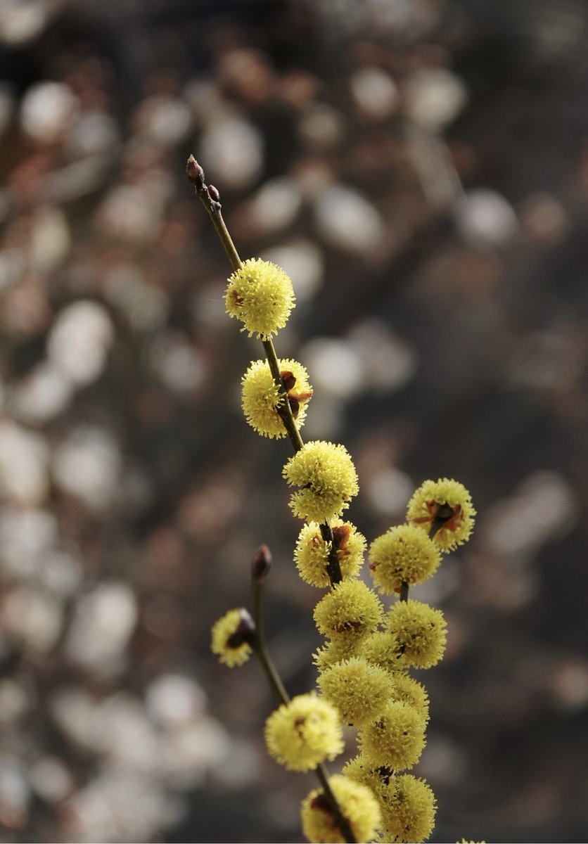 더좋은내일 tweet media