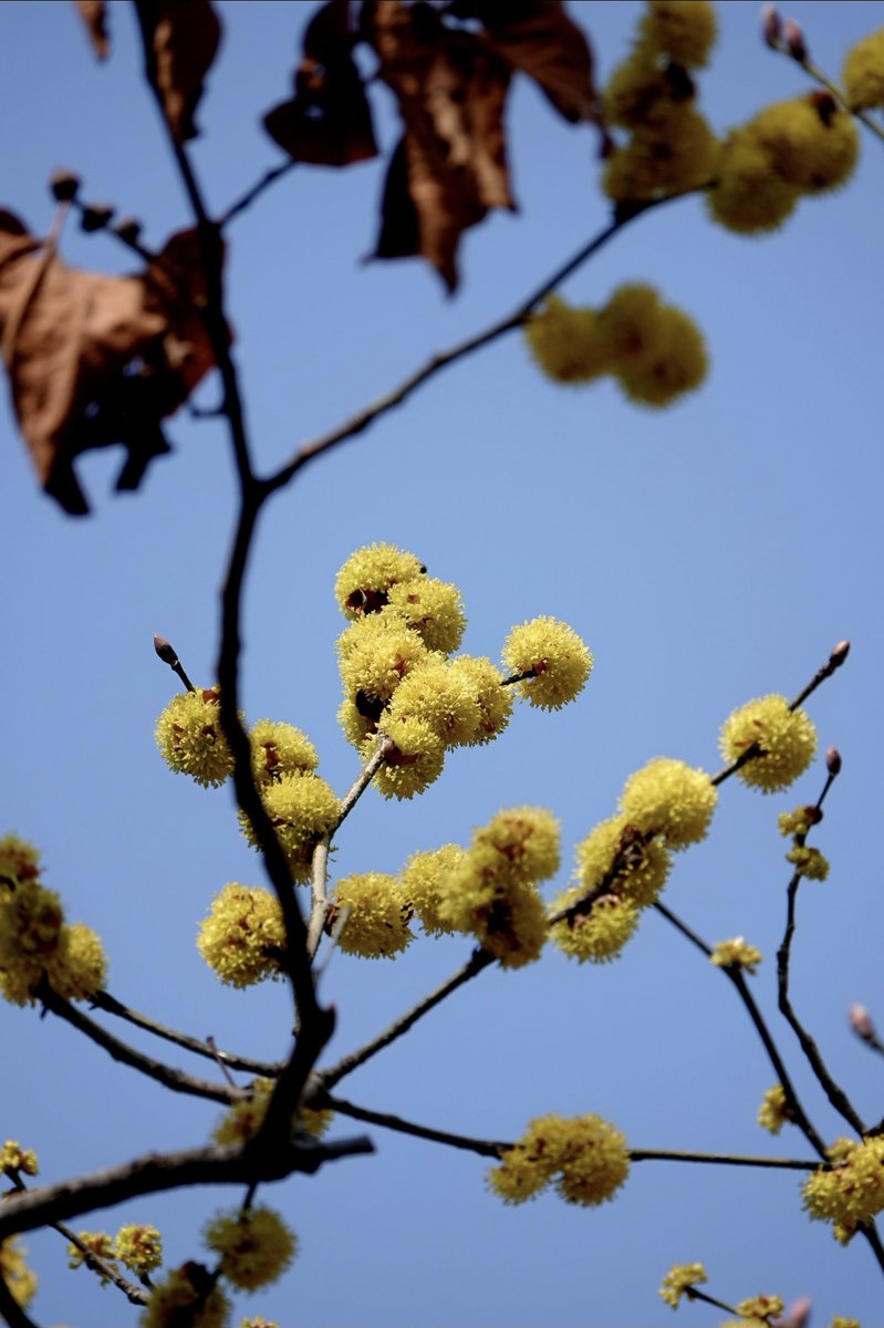 더좋은내일 tweet media