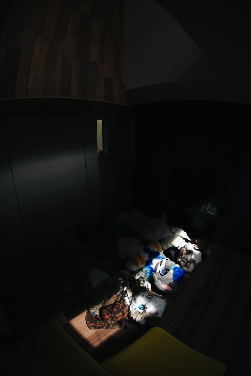 あゆぴこ🧃𓆛𓆜𓆝𓆞𓆟 tweet media