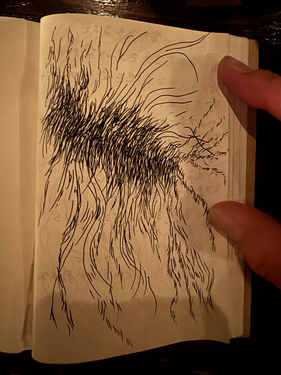 マリー tweet media