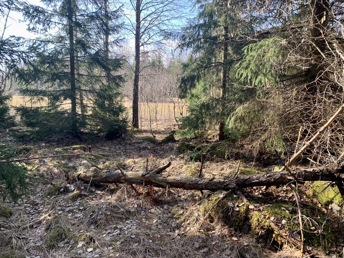 Alan Dalton tweet media