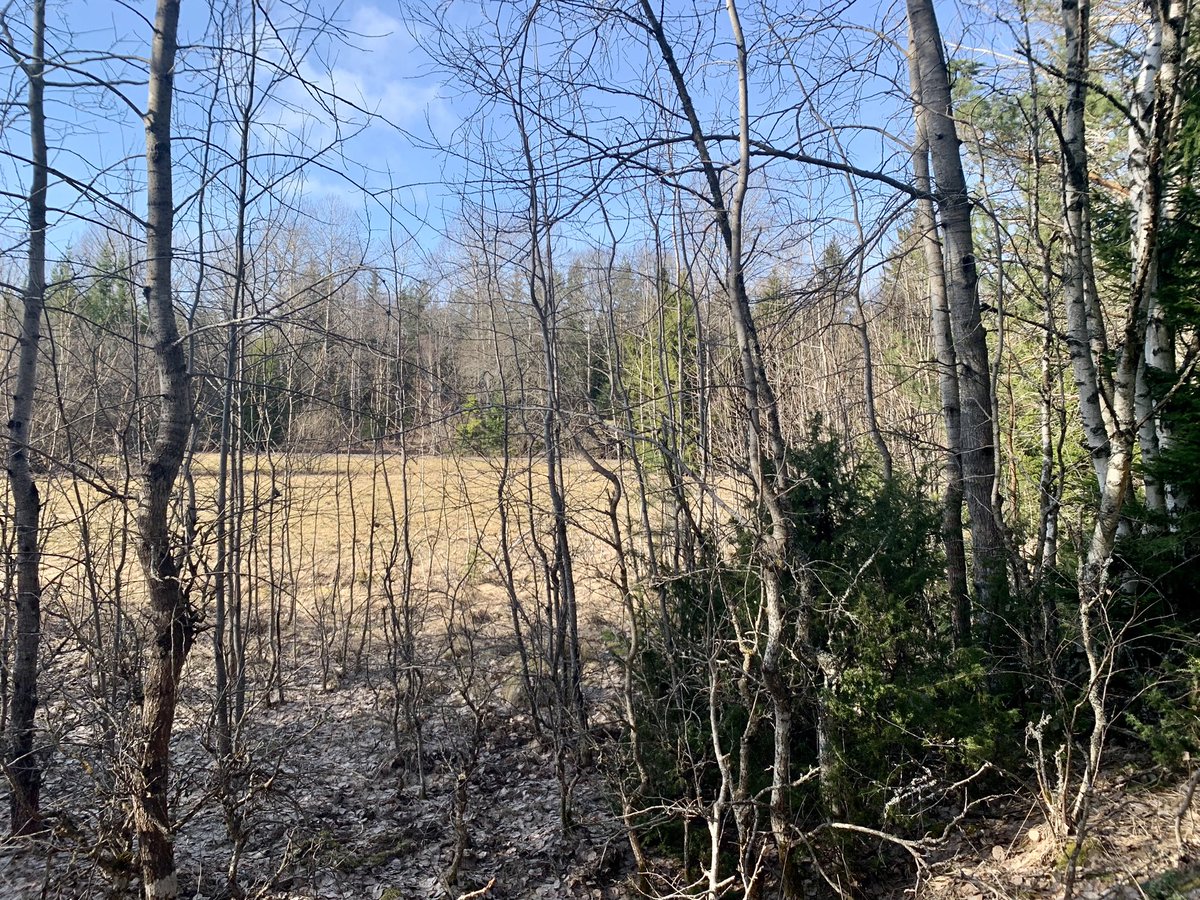 Alan Dalton tweet media