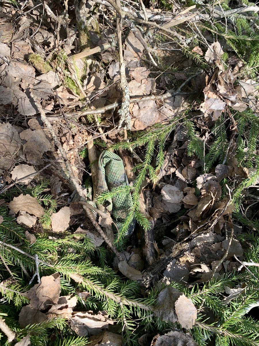 Alan Dalton tweet media