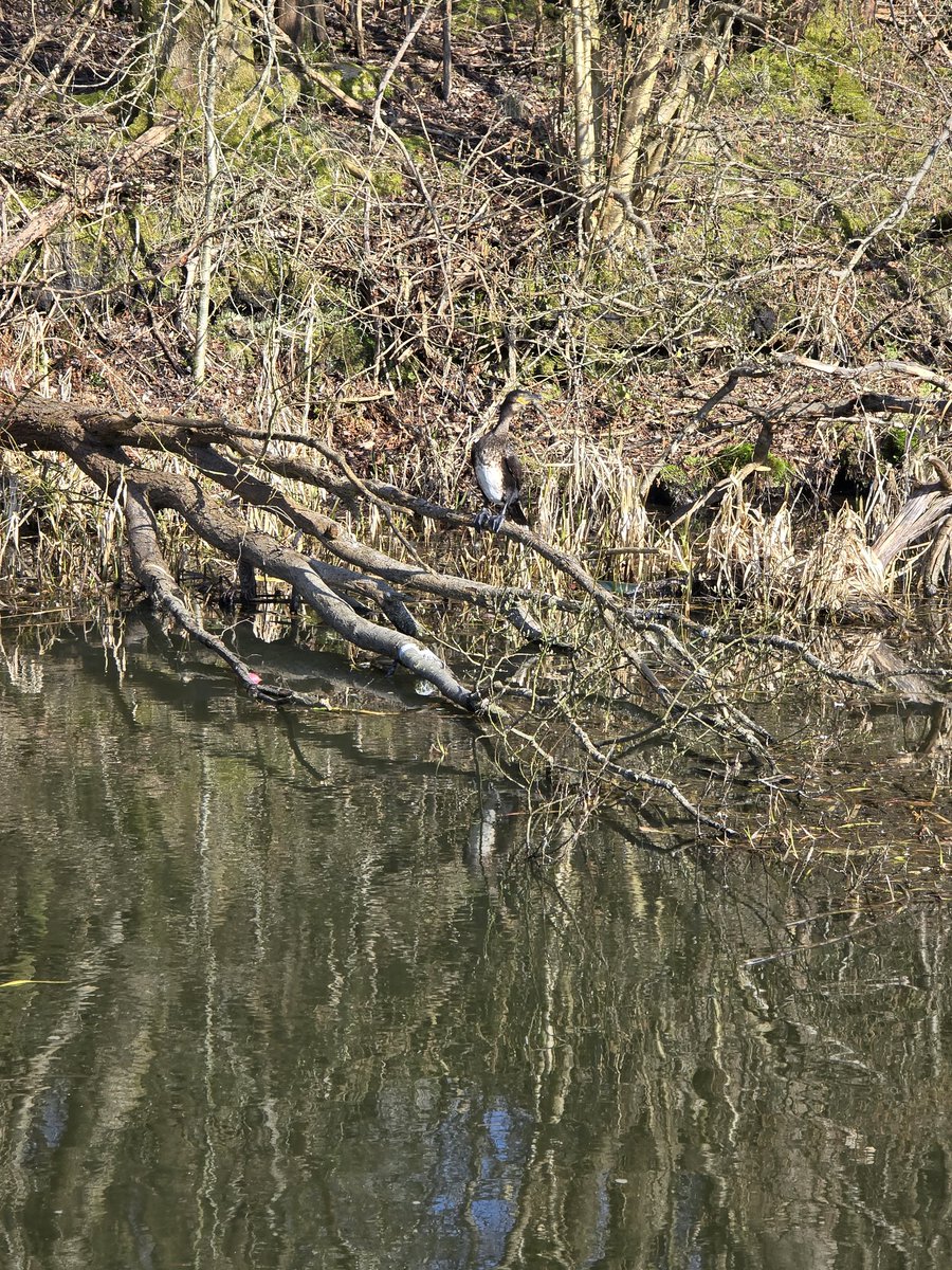 Neil Binns tweet media